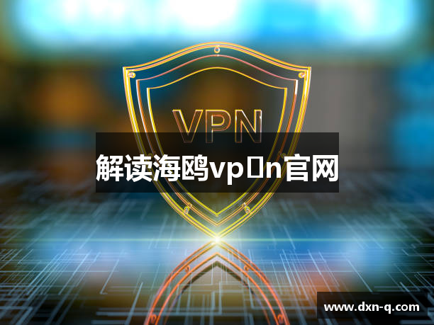 解读海鸥vp n官网